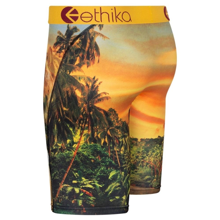 Ethika Easy Tiger Men's Staple Underwear Yellow | TP6580793