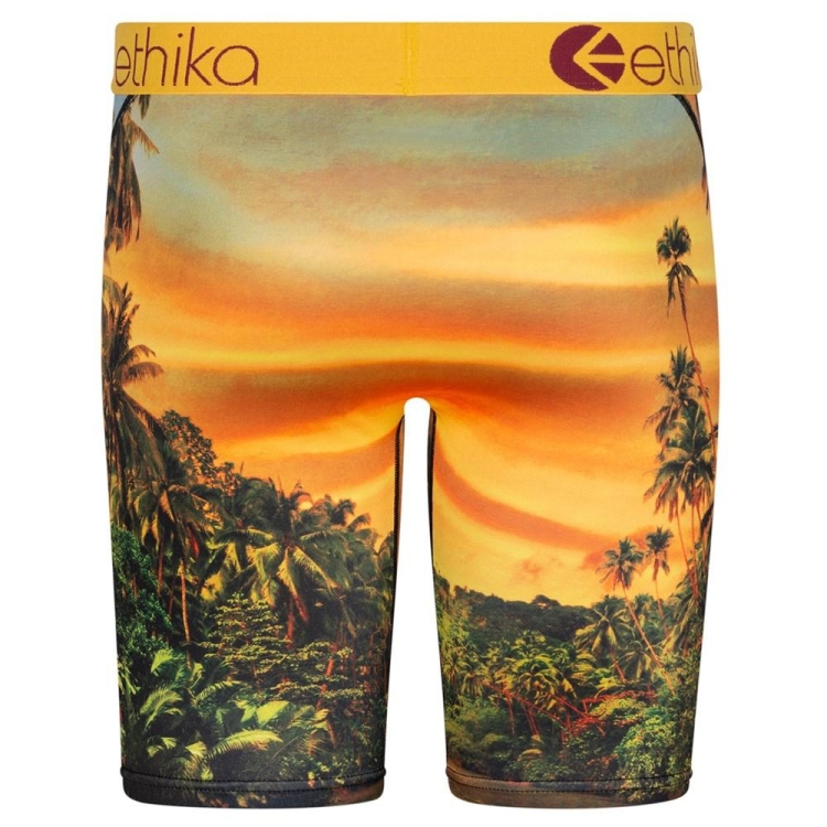 Ethika Easy Tiger Men's Staple Underwear Yellow | TP6580793