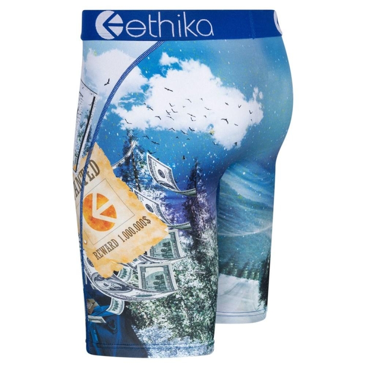 Ethika El Men's Staple Underwear Blue | UA4029318