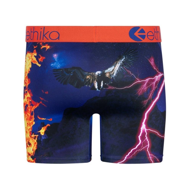 Ethika Flame World Men's Mid Boxers Multicolor | DZ2846395