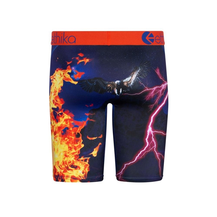 Ethika Flame World Staple Boys' Underwear Multicolor | JD4031567