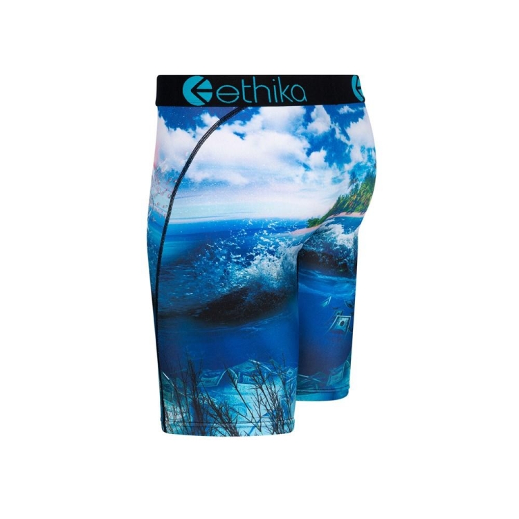 Ethika Free The Trappers Staple Boys' Underwear Blue | ID2150748