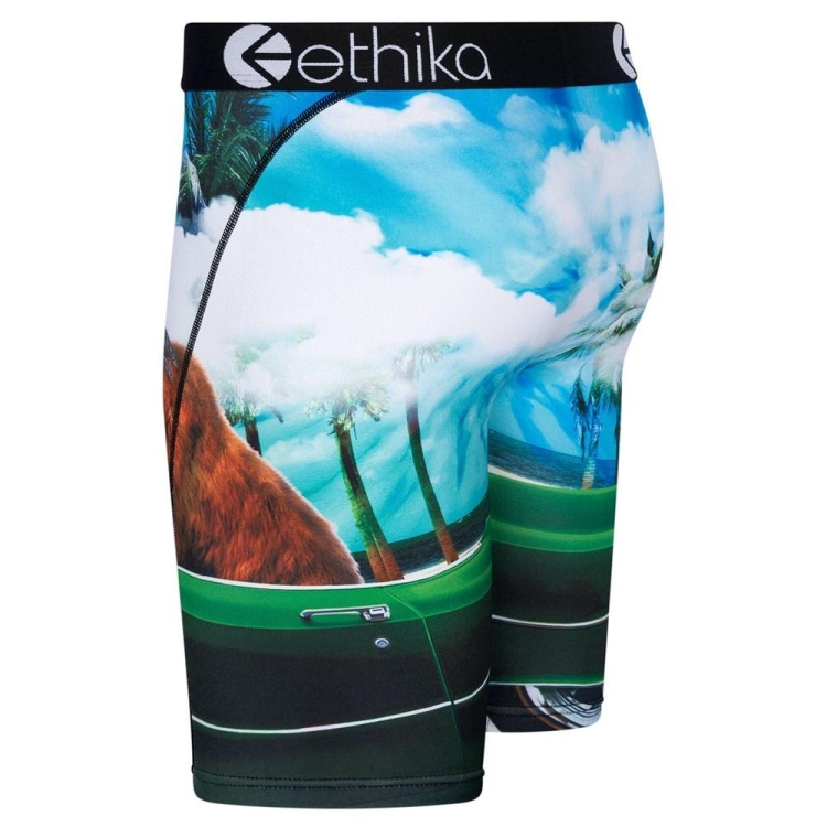 Ethika Good Day Men's Staple Underwear Blue | UT8230497