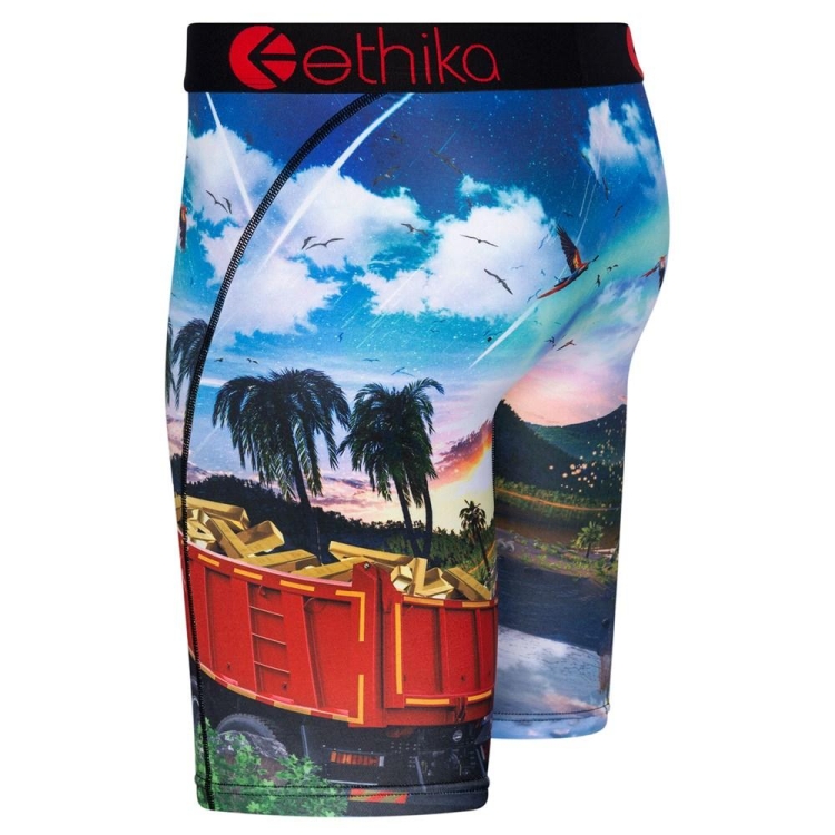 Ethika Isla De Encanto Men's Staple Underwear Multicolor | NL9461078