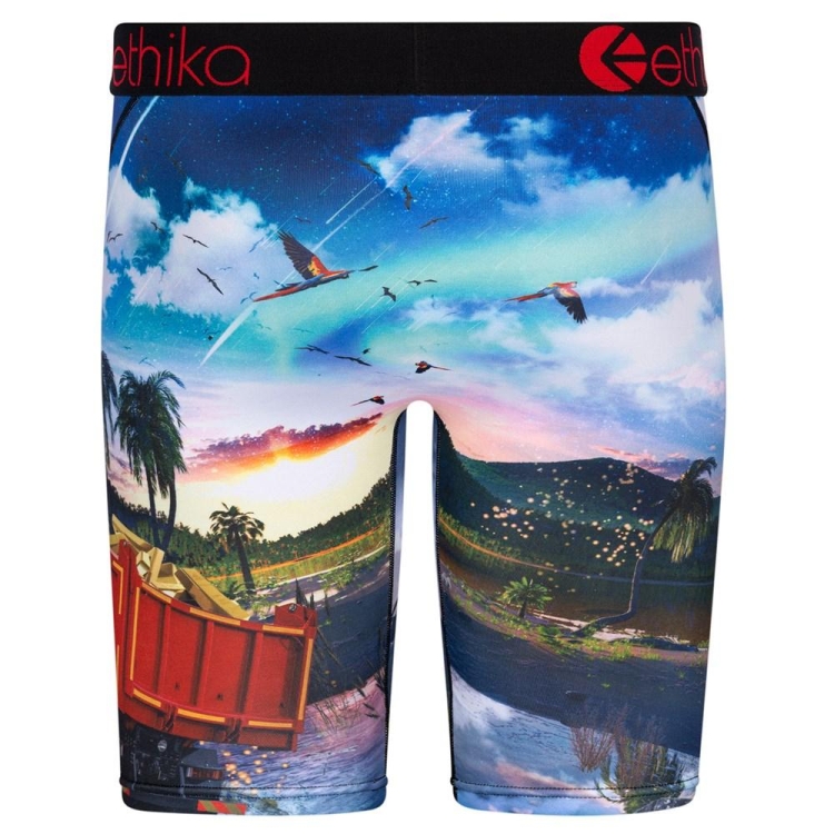 Ethika Isla De Encanto Men's Staple Underwear Multicolor | NL9461078