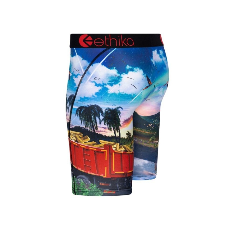 Ethika Isla De Encanto Staple Boys' Underwear Multicolor | BQ1069538