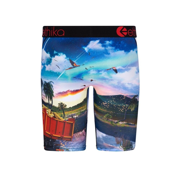 Ethika Isla De Encanto Staple Boys' Underwear Multicolor | BQ1069538