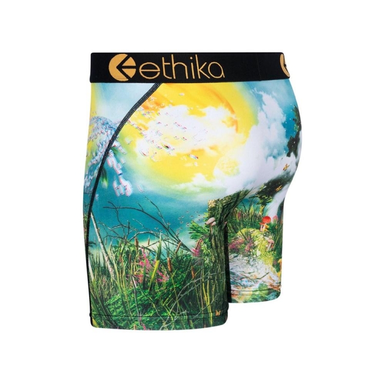 Ethika Lifes a Trip 3D Men's Mid Boxers Multicolor | VI9471053