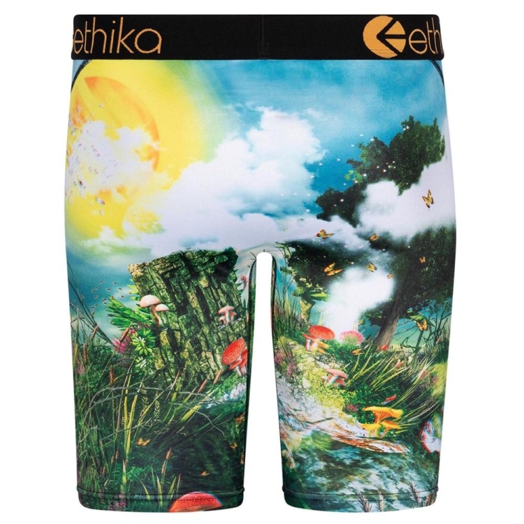 Ethika Lifes a Trip 3D Men's Staple Underwear Multicolor | MH5206417