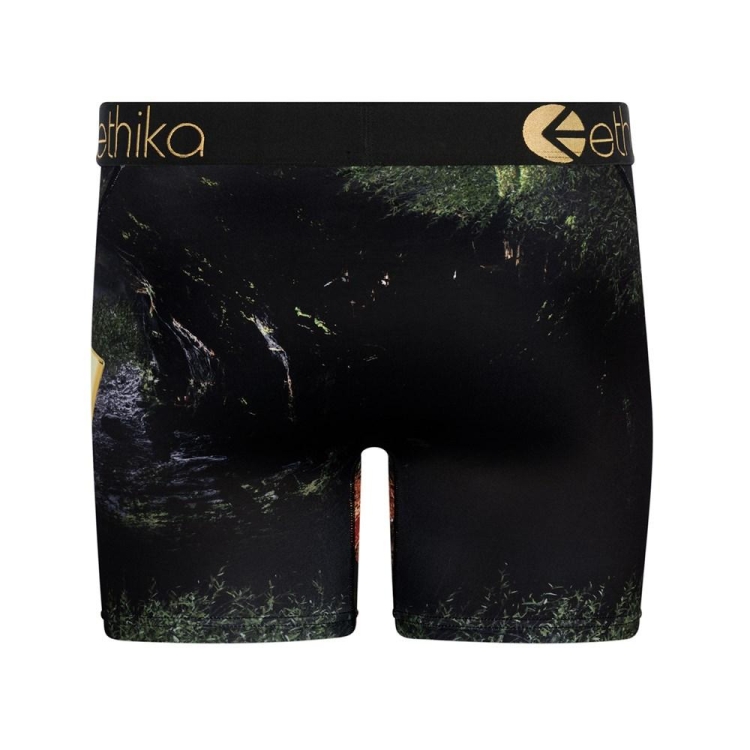 Ethika Lions Den Men's Mid Boxers Black | FB8027519