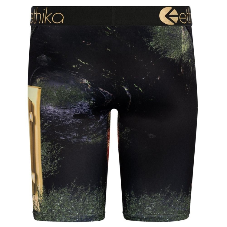 Ethika Lions Den Men's Staple Underwear Black | IC7142360