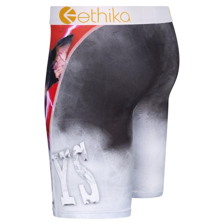 Ethika Lost Men's Staple Underwear Grey | LK5481396