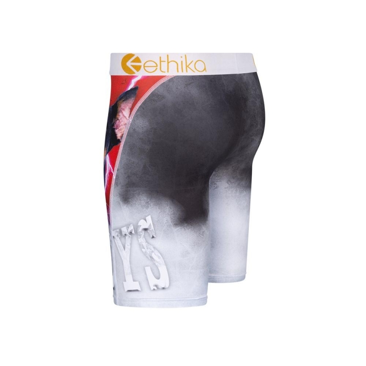 Ethika Lost Staple Boys' Underwear Grey | EA9870461