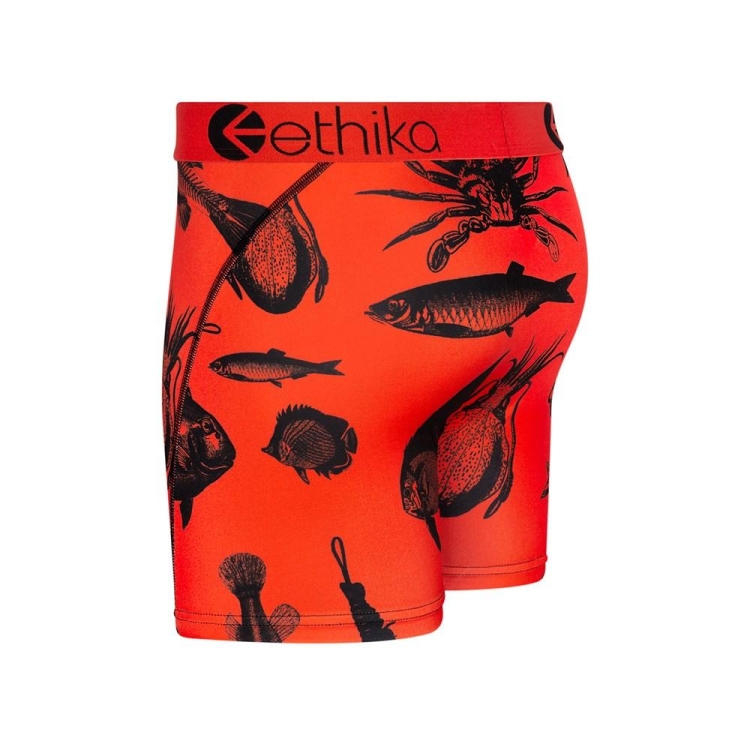 Ethika Maryland Men's Mid Boxers Orange | VL8540793