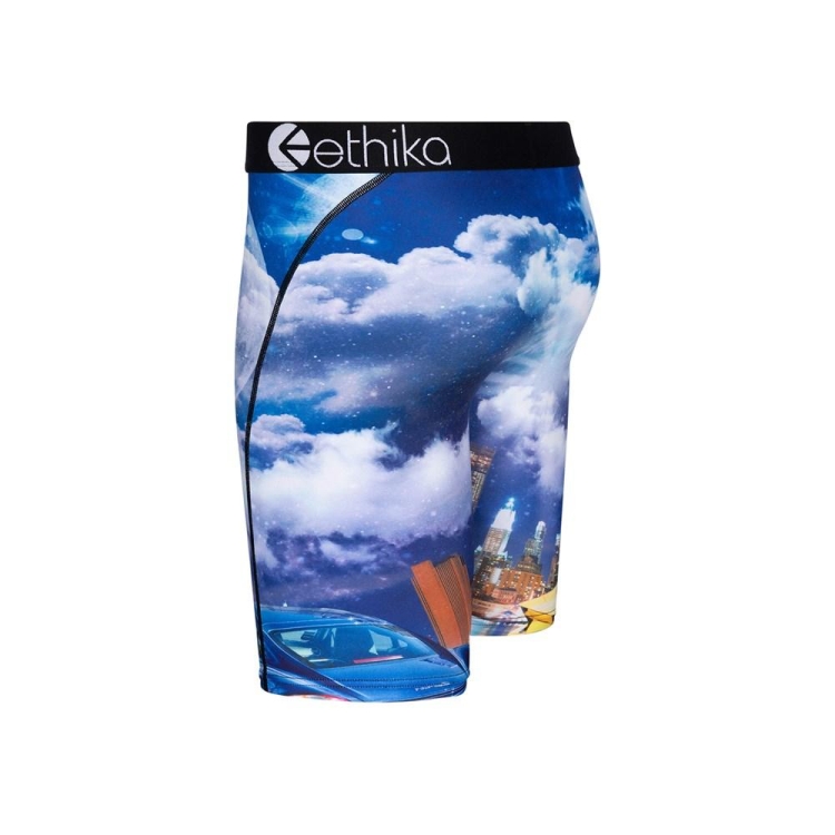 Ethika Only Exotics Staple Boys' Underwear Blue | IJ5827014