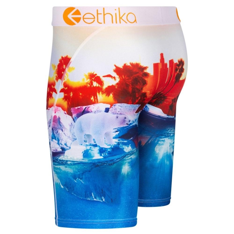 Ethika Polar World Men's Staple Underwear Blue Red | RJ0891437