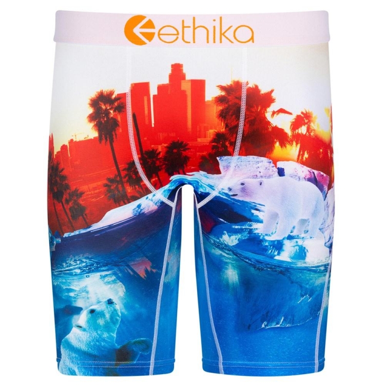 Ethika Polar World Men\'s Staple Underwear Blue Red | RJ0891437