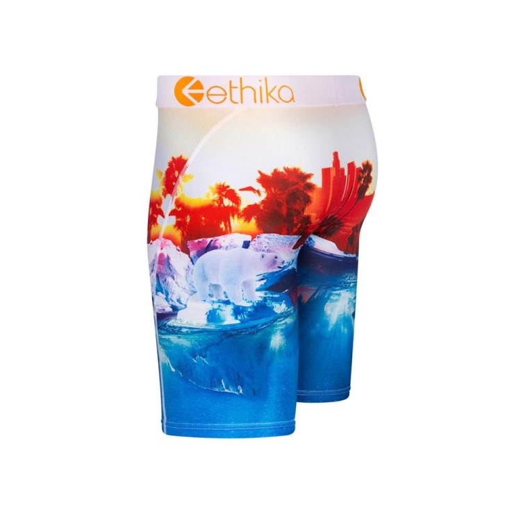 Ethika Polar World Staple Boys' Underwear Blue Red | DW2015693