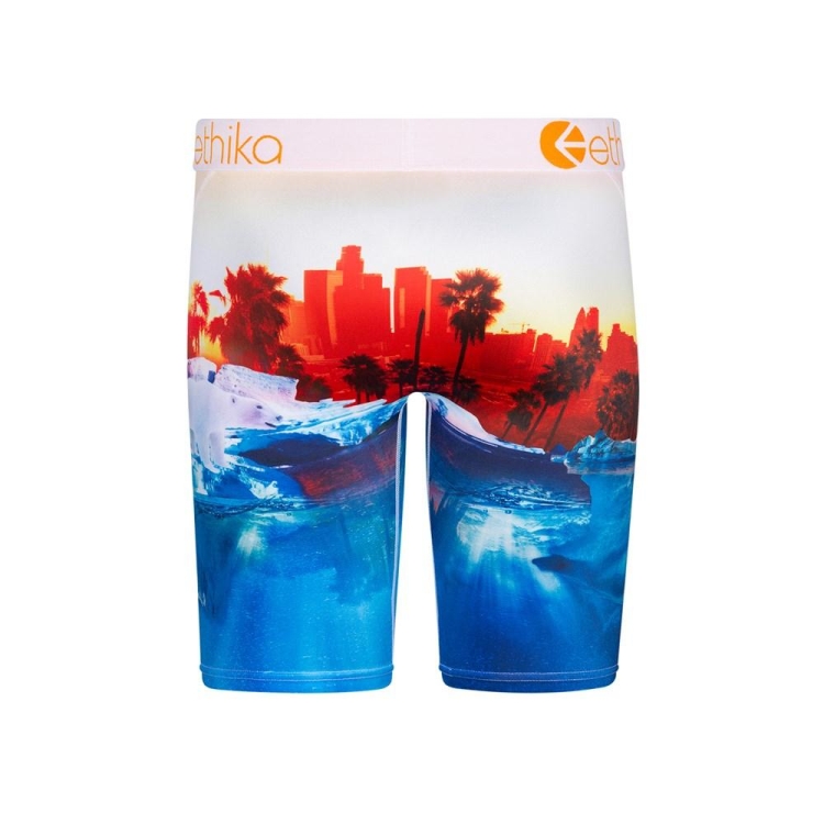 Ethika Polar World Staple Boys' Underwear Blue Red | DW2015693