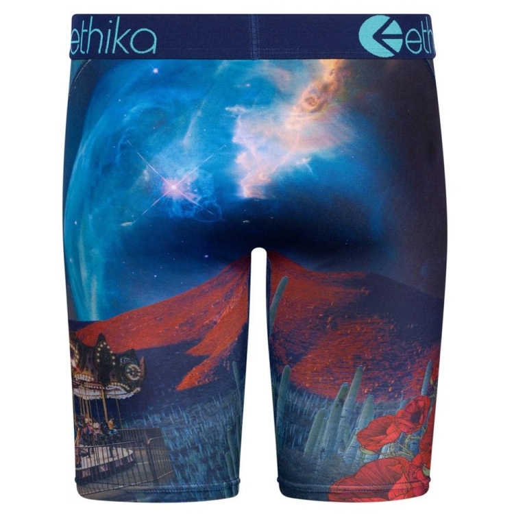 Ethika Sicko Men's Staple Underwear Multicolor | FB3824510