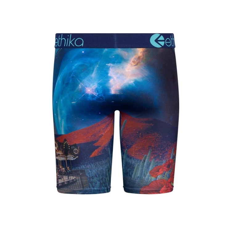 Ethika Sicko Staple Boys' Underwear Multicolor | PX3251784