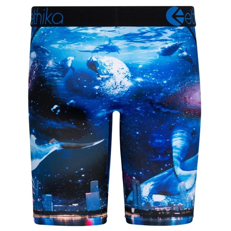 Ethika Space Whale Men's Staple Underwear Navy | JL0381752