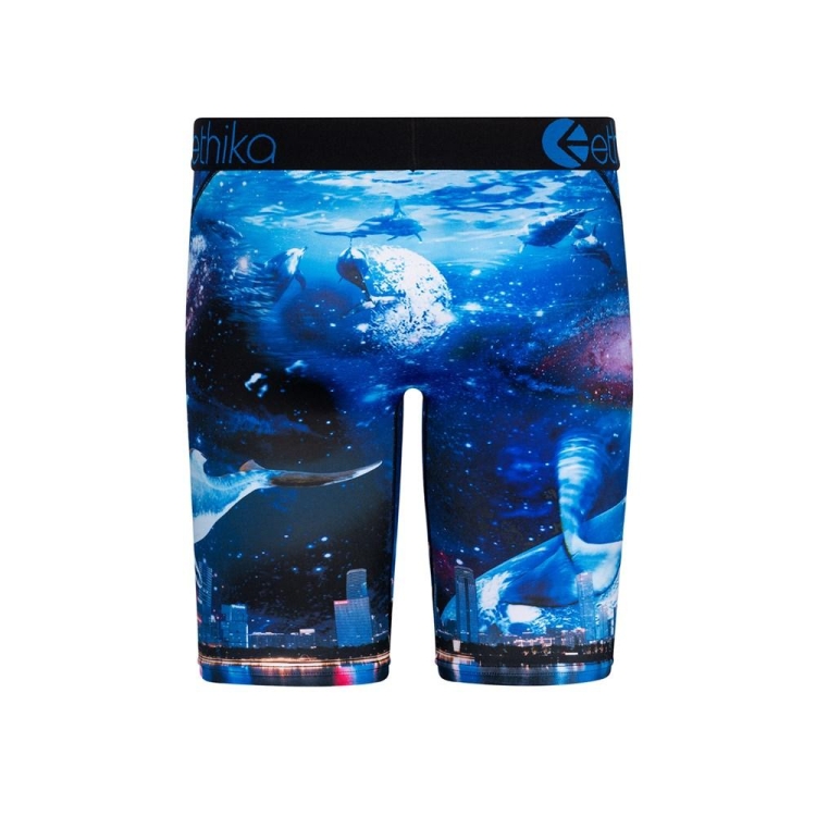 Ethika Space Whale Staple Boys' Underwear Navy | KF5694870