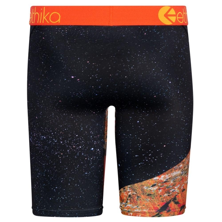 Ethika Superbloom Men's Staple Underwear Black | HX9215078