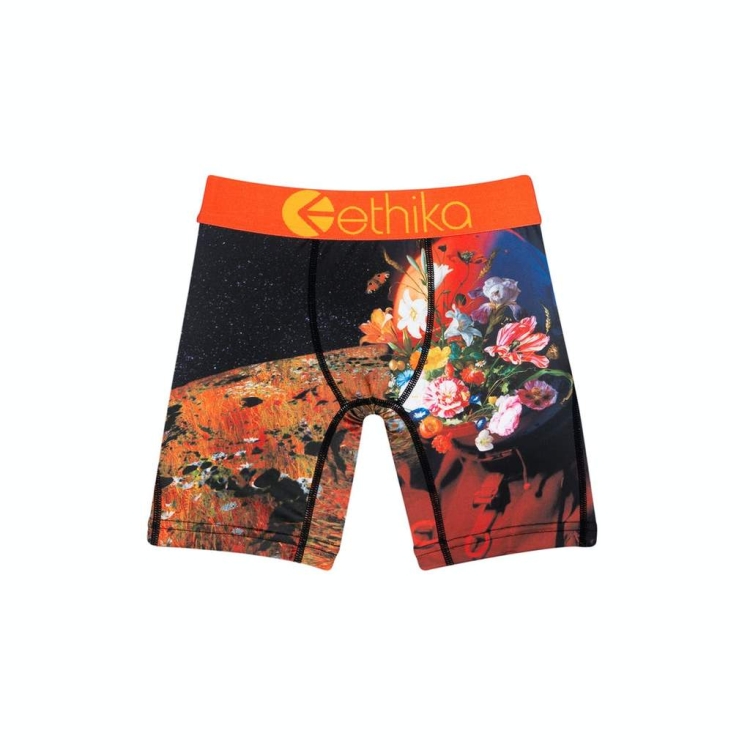 Ethika Superbloom Staple Boys\' Underwear Black | RW6957384