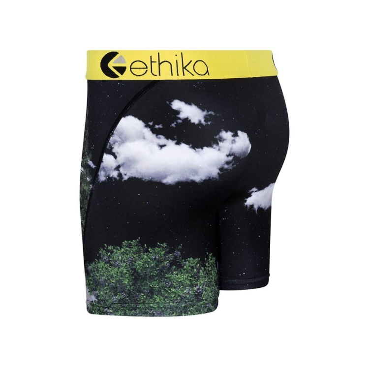 Ethika The Wolf Pack Men's Mid Boxers Multicolor | AI8092463