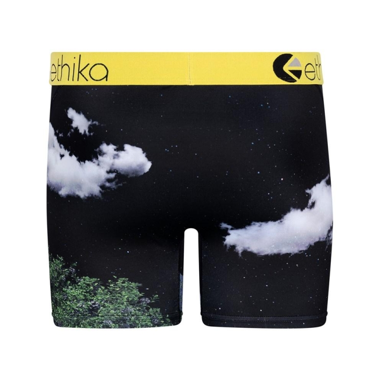 Ethika The Wolf Pack Men's Mid Boxers Multicolor | AI8092463