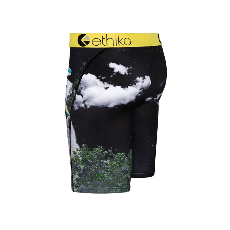 Ethika The Wolf Pack Staple Boys' Underwear Multicolor | IY2904735