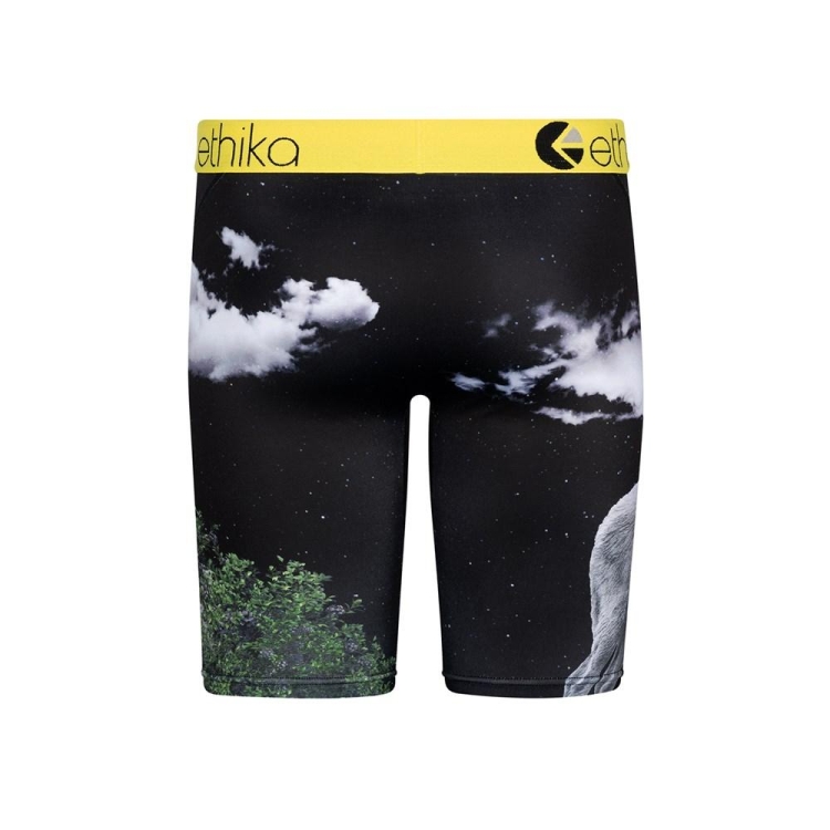 Ethika The Wolf Pack Staple Boys' Underwear Multicolor | IY2904735