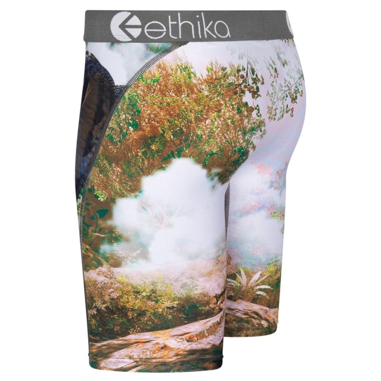 Ethika You Good? Men's Staple Underwear Multicolor | RF7895324