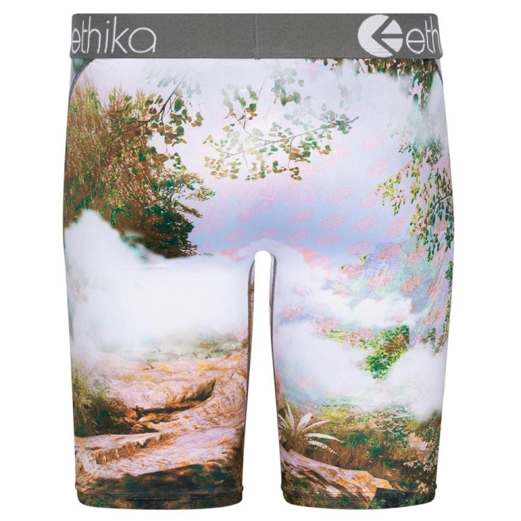 Ethika You Good? Men's Staple Underwear Multicolor | RF7895324